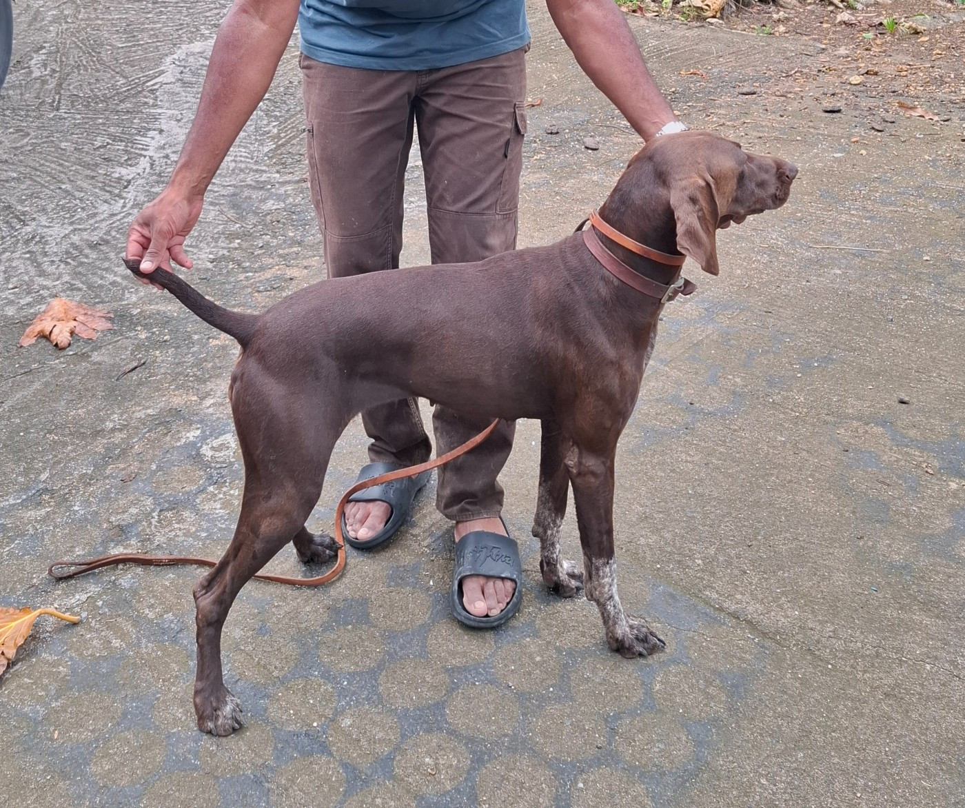 Raya De La Cite Du Bois Des Ormes
