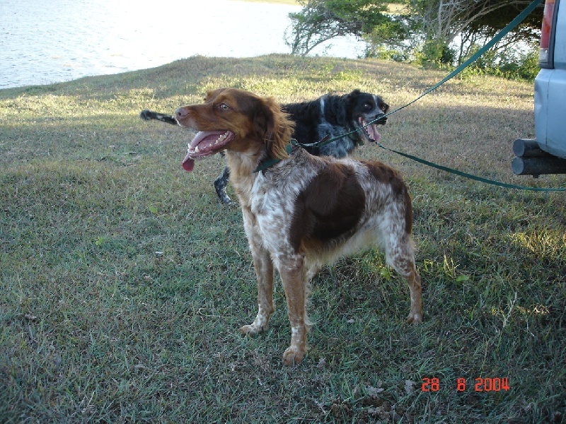 Chasse!